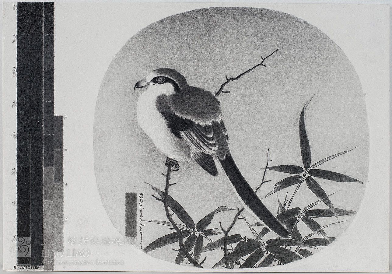 参展作品欣赏